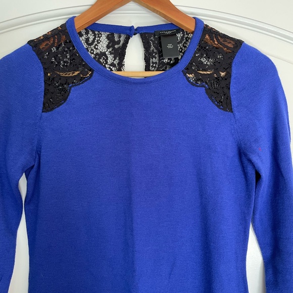 Ann Taylor Royal Blue Sweater Dress with Black Lace Shoulders - Picture 3 of 9